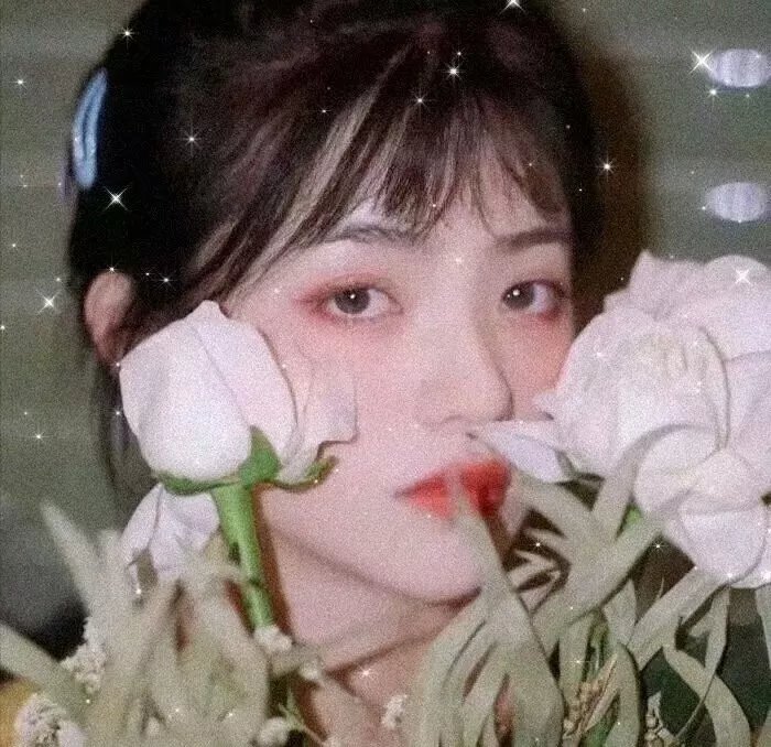 白山新歌